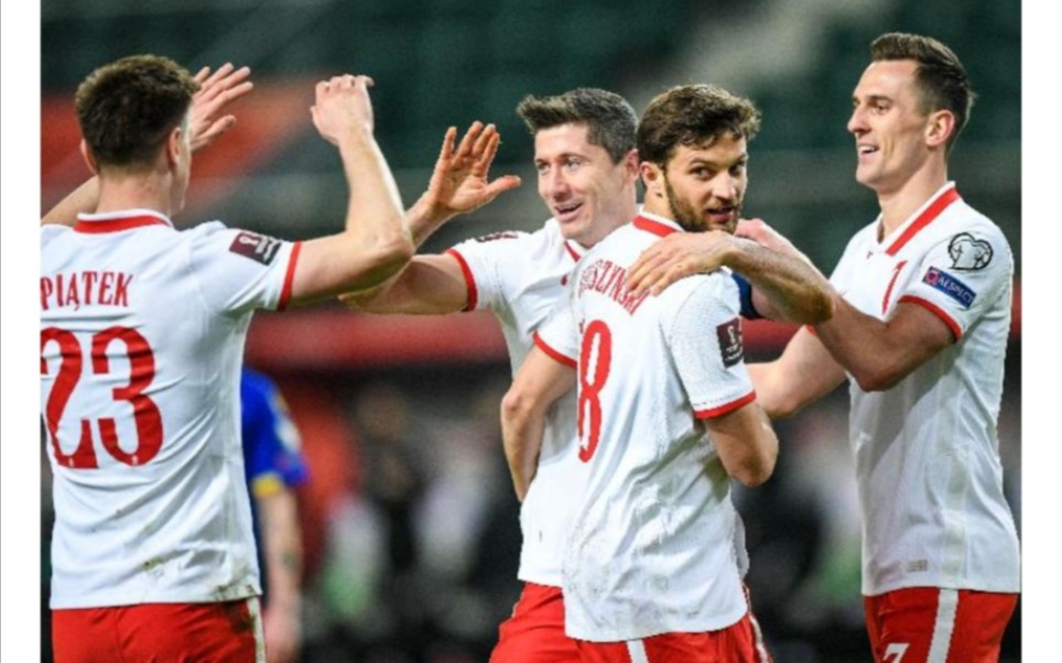 波兰队期许取得好成绩，为国争光的简单介绍