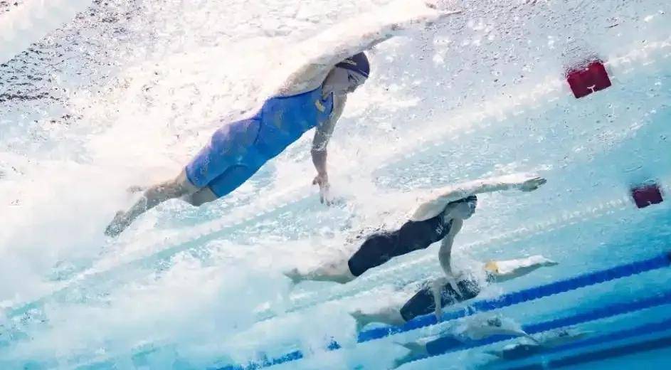 关于游泳冠军认真解读成功之道，分享赛场心得的信息