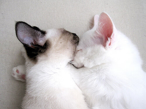 北境烽烟起,传奇续新章—雄鹿激战活塞,杜兰特解锁25000分里程碑