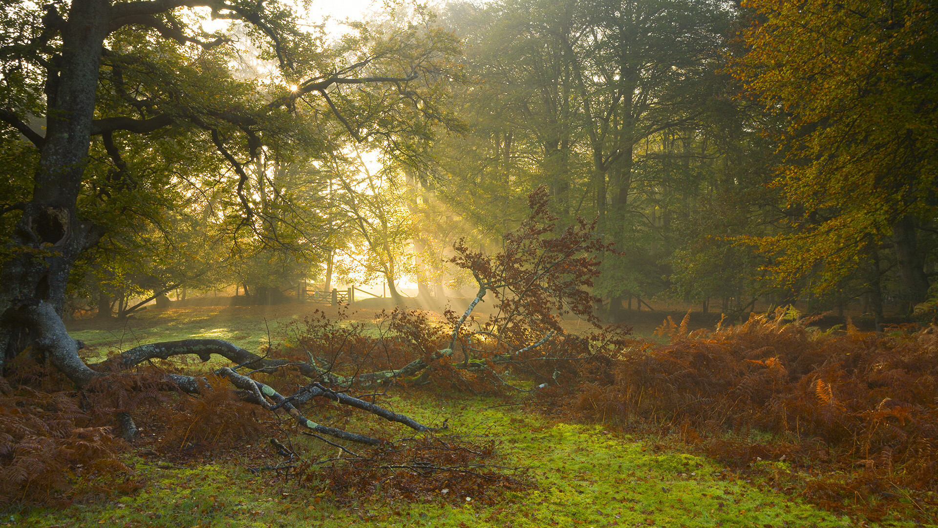 当暮光升起，从马里青春风暴到莫德里奇时间掌控术